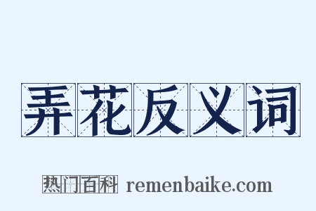 弄花反义词是什么意思的图片